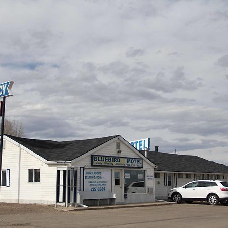 Bluebird Motel Innisfail Exterior foto